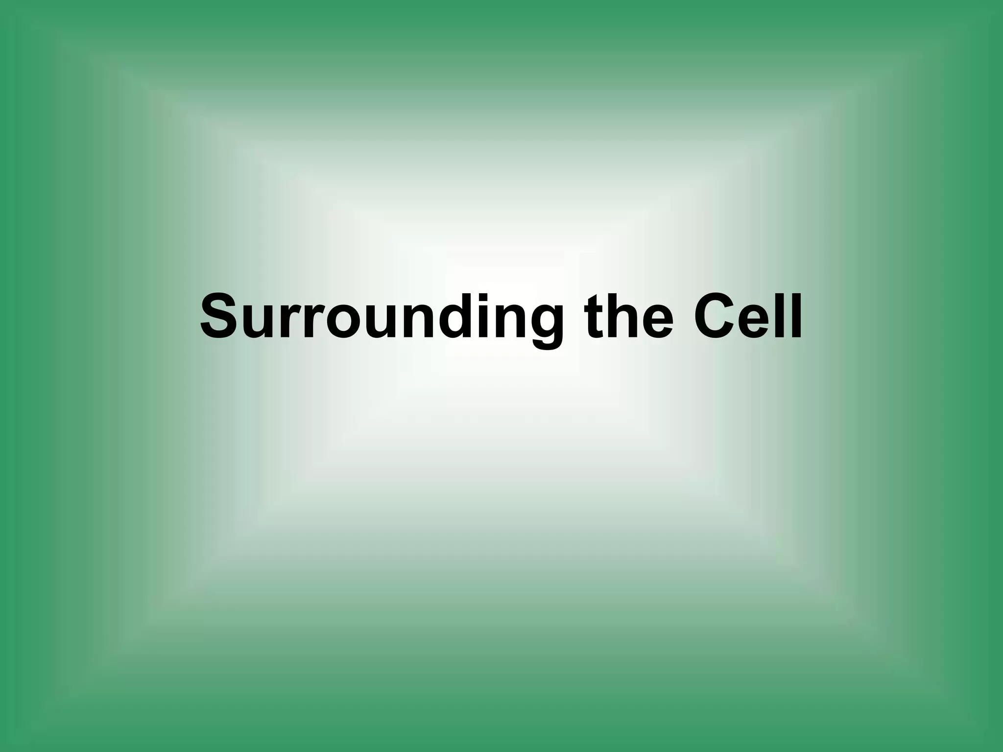 Surrounding the Cell