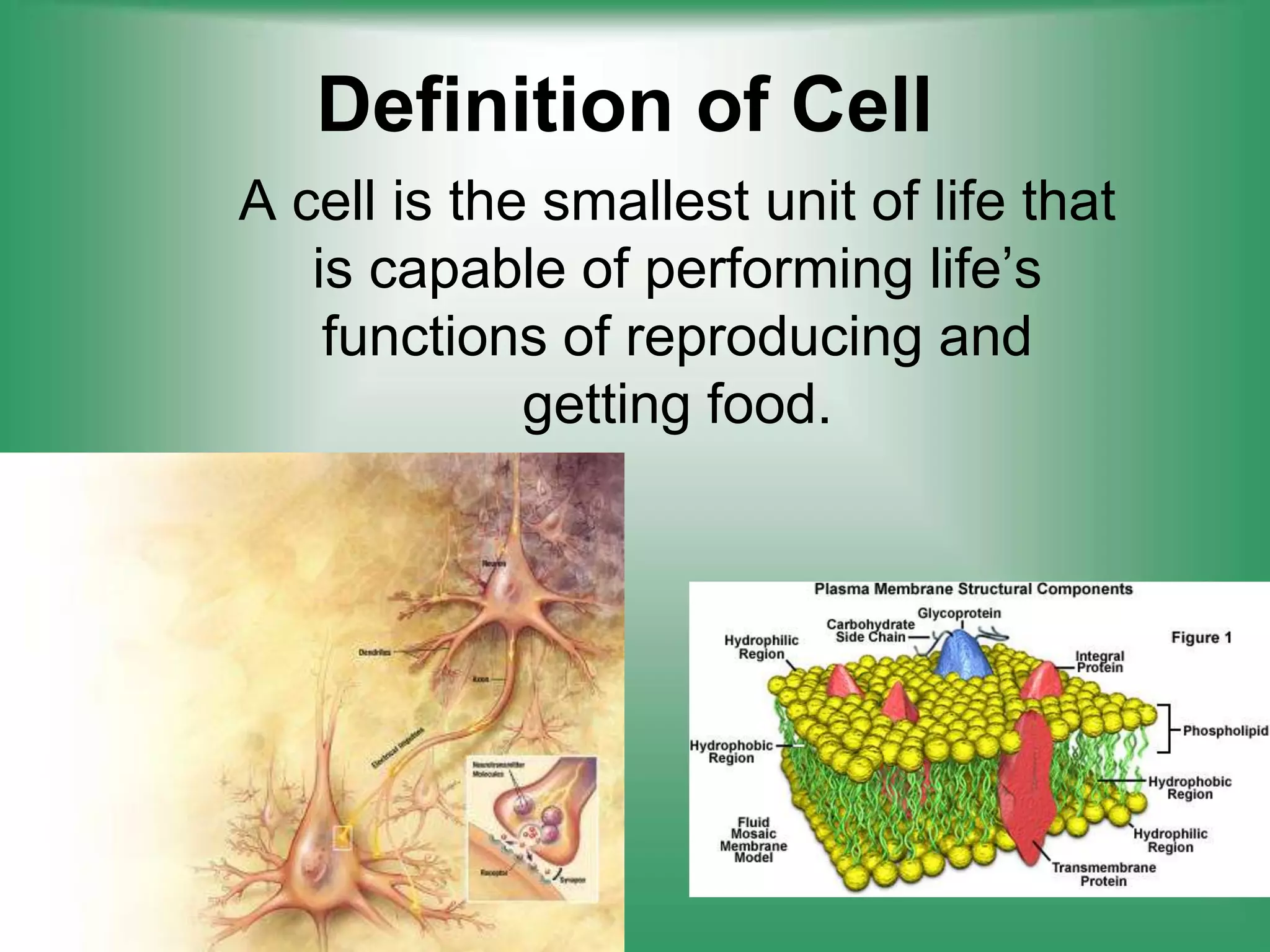 Definition of CellA cell is the smallest unit of life that is capable of performing life’s functions of reproducing and getting food.