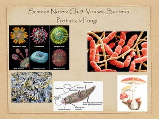 Science Notes: Ch. 9; Viruses, Bacteria,
          Protists, & Fungi
 