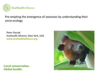 Peter Daszak
EcoHealth Alliance, New York, USA
www.ecohealthalliance.org
Pre-empting the emergence of zoonoses by understanding their
socio-ecology
 