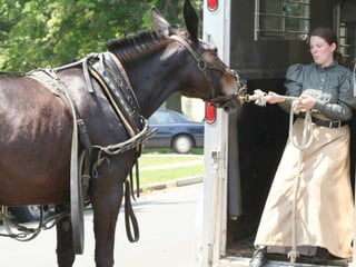 90
              01
            00
           22
         on
       tiM
     DaE
  vSN
FeO
D
 