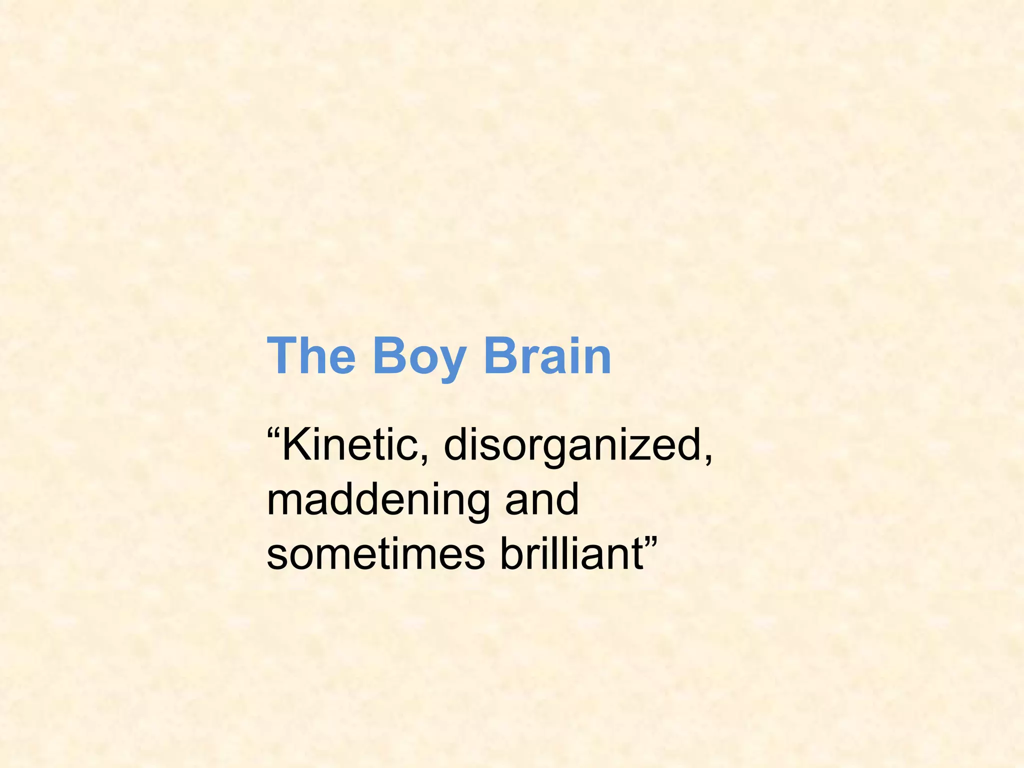 The Boy Brain   “ Kinetic, disorganized, maddening and sometimes brilliant” 