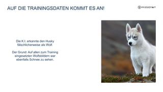 AUF DIE TRAININGSDATEN KOMMT ES AN!
Die K.I. erkannte den Husky
fälschlicherweise als Wolf.
Der Grund: Auf allen zum Training
eingesetzten Wolfsbildern war
ebenfalls Schnee zu sehen.
 