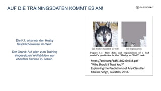 AUF DIE TRAININGSDATEN KOMMT ES AN!
Die K.I. erkannte den Husky
fälschlicherweise als Wolf.
Der Grund: Auf allen zum Training
eingesetzten Wolfsbildern war
ebenfalls Schnee zu sehen.
 
