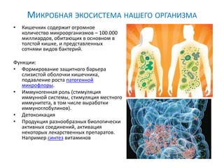 МИКРОБНАЯ ЭКОСИСТЕМА НАШЕГО ОРГАНИЗМА
• Кишечник содержит огромное
количество микроорганизмов – 100.000
миллиардов, обитающих в основном в
толстой кишке, и представленных
сотнями видов бактерий.
Функции:
• Формирование защитного барьера
слизистой оболочки кишечника,
подавление роста патогенной
микрофлоры.
• Иммуногенная роль (стимуляция
иммунной системы, стимуляция местного
иммунитета, в том числе выработки
иммуноглобулинов).
• Детоксикация
• Продукция разнообразных биологически
активных соединений, активация
некоторых лекарственных препаратов.
Например синтез витаминов
 
