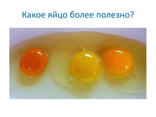 Какое яйцо более полезно?
 