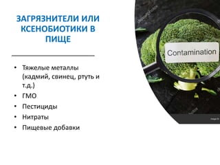 ЗАГРЯЗНИТЕЛИ ИЛИ
КСЕНОБИОТИКИ В
ПИЩЕ
• Тяжелые металлы
(кадмий, свинец, ртуть и
т.д.)
• ГМО
• Пестициды
• Нитраты
• Пищевые добавки
 