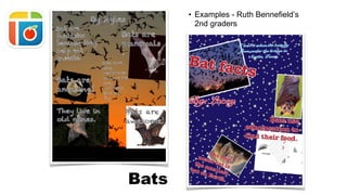 Bats
• Examples - Ruth Bennefield’s
2nd graders
 