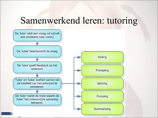 Samenwerkend leren: tutoring 