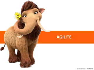 Youmna Ovazza – MixIT 2016
AGILITE
 