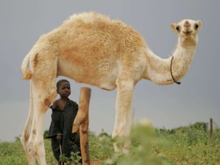 Look back to move forward: Town hall keynote presentation  