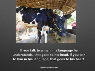 Look back to move forward: Town hall keynote presentation  