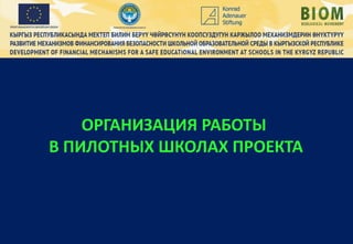 ОРГАНИЗАЦИЯ РАБОТЫ
В ПИЛОТНЫХ ШКОЛАХ ПРОЕКТА
 