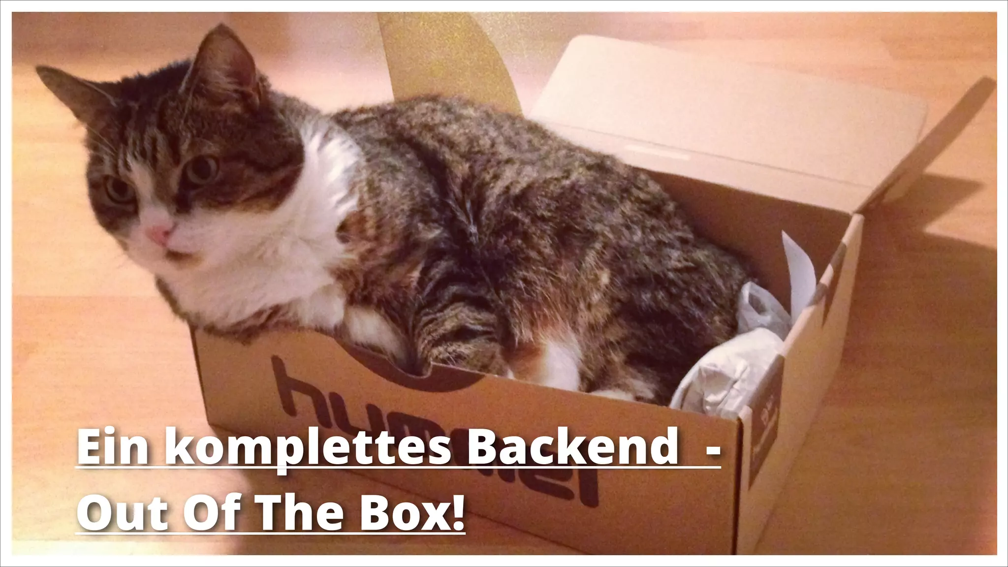 Ein komplettes Backend Out Of The Box!

 