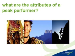 what are the attributes of a
peak performer?
 