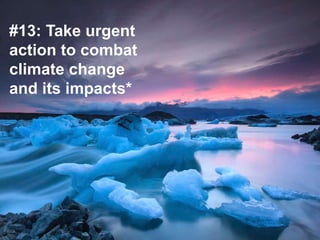 Keynote Address by Joyline Chai
#13: Take urgent
action to combat
climate change
and its impacts*
 