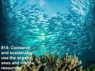 Keynote Address by Joyline Chai
#14: Conserve
and sustainably
use the oceans,
seas and marine
resources
 