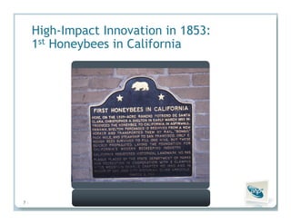 Insights from the Experts: How PHP Leaders Are Transforming High-Impact PHP Applications