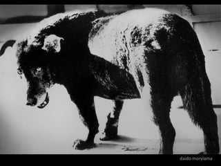 daido moriyama
 