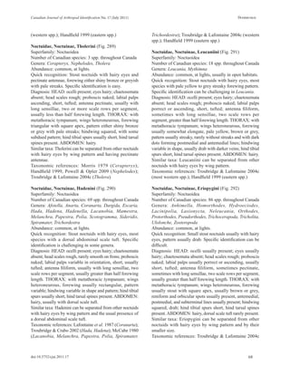 Key of lepidoptera | PDF