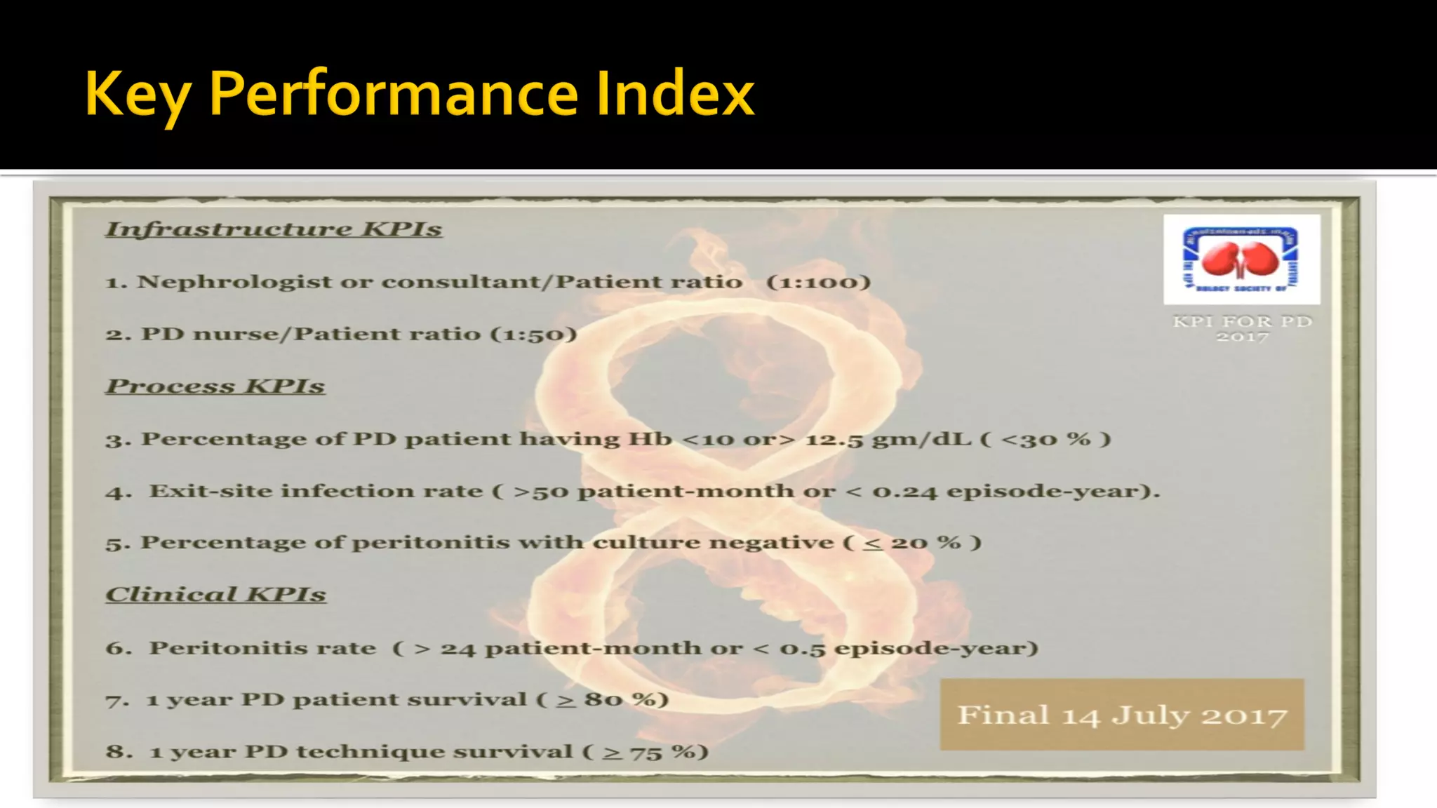 Key Performance Index Final Version | PDF