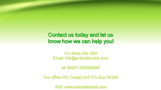 Key Points for Motion Graphics Services