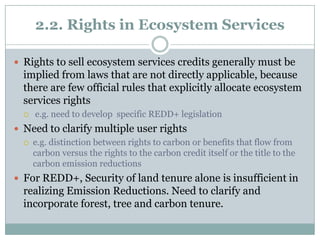 Land title not validly vested in local users