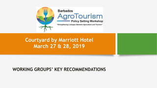 WORKING GROUPS’ KEY RECOMMENDATIONS
Courtyard by Marriott Hotel
March 27 & 28, 2019
 