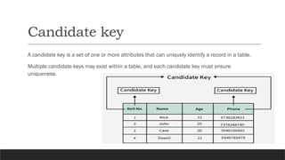 Comprehensive Overview of Database Keys: Types and Importance | PPTX