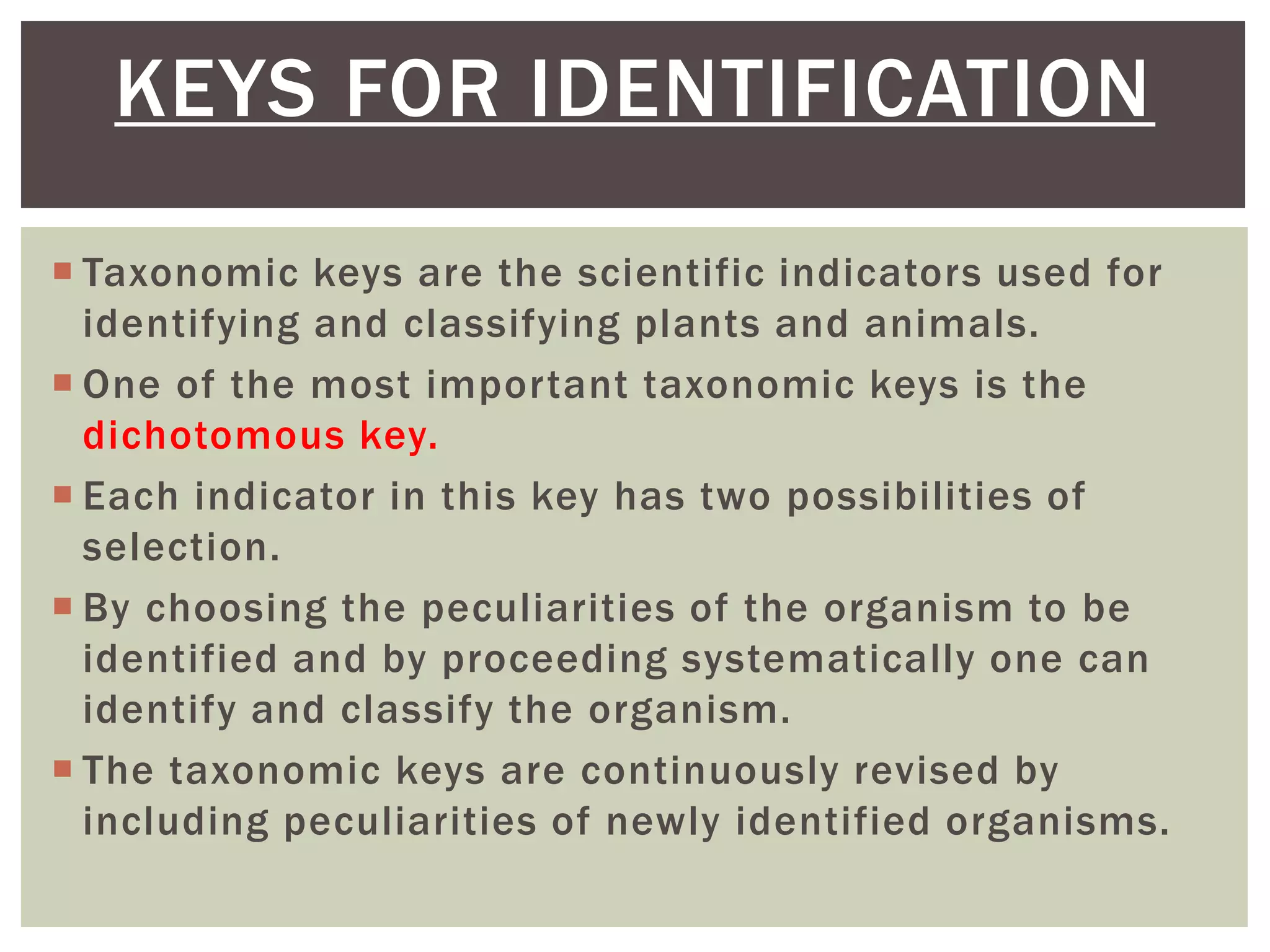 Keys for identification | PPTX | Biological Sciences | Science