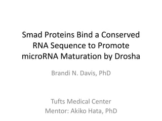 Smad Proteins Bind a Conserved RNA Sequence to Promote microRNA Maturation by Drosha  Brandi N. Davis, PhD Tufts Medical Center  Mentor: Akiko Hata, PhD 