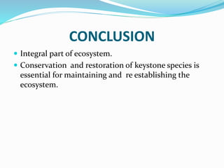 CONCLUSION
 Integral part of ecosystem.
 Conservation and restoration of keystone species is
essential for maintaining and re establishing the
ecosystem.
 