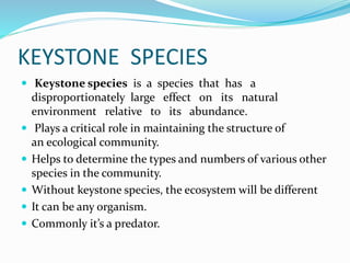 KEYSTONE SPECIES
 Keystone species is a species that has a
disproportionately large effect on its natural
environment relative to its abundance.
 Plays a critical role in maintaining the structure of
an ecological community.
 Helps to determine the types and numbers of various other
species in the community.
 Without keystone species, the ecosystem will be different
 It can be any organism.
 Commonly it’s a predator.
 