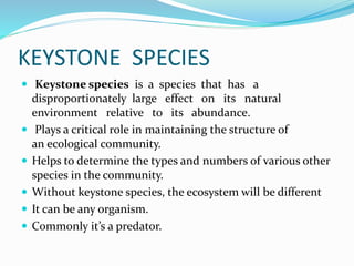 What is a Keystone Species?
