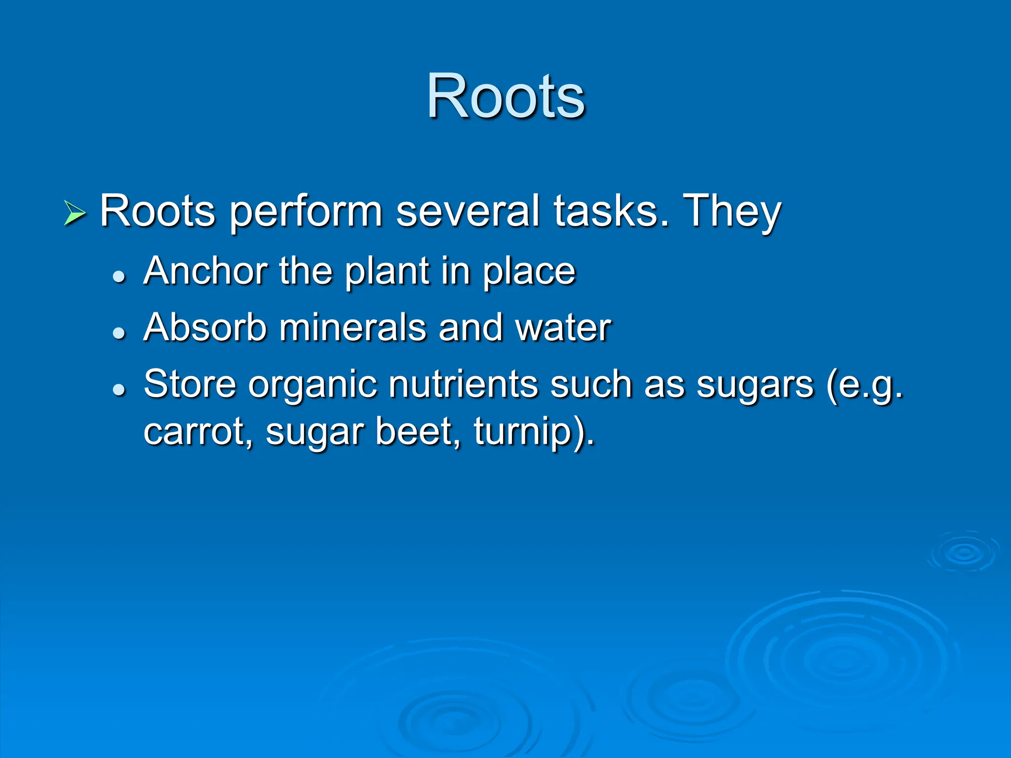 Keystone_Biology_Review_Tree_of_Life.ppt