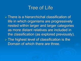 Keystone_Biology_Review_Tree_of_Life.ppt