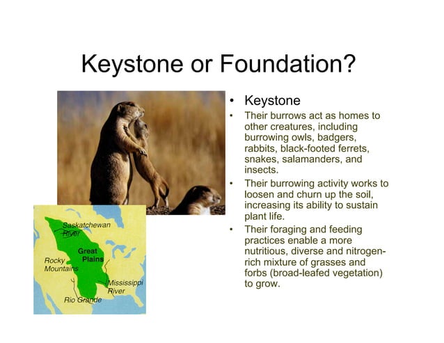 Keystone and Foundation Species | PDF