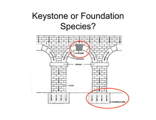 Keystone or Foundation
      Species?
 
