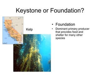Keystone and Foundation Species 2011 | PPT