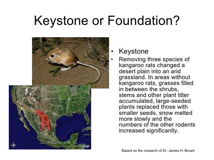 Keystone and Foundation Species 2011