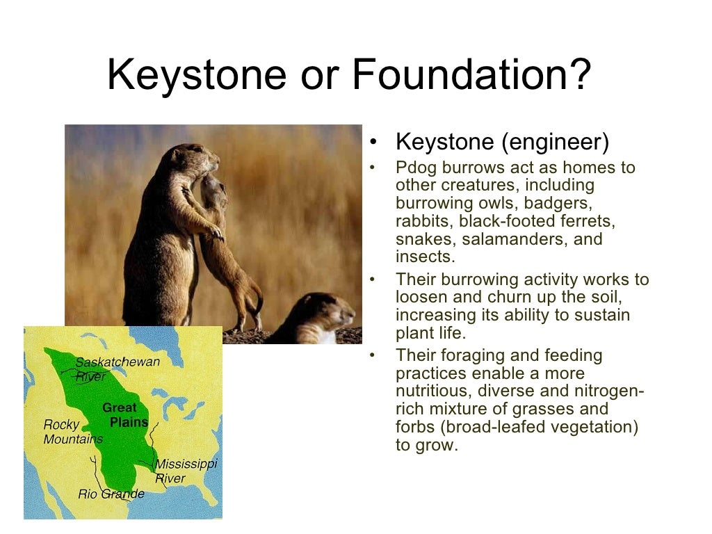 Keystone and Foundation Species 2011