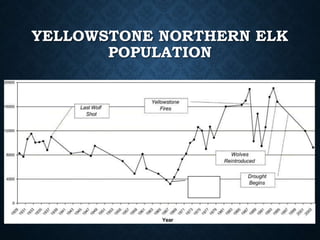 YELLOWSTONE NORTHERN ELK
POPULATION
Culling
of elk
stops
 