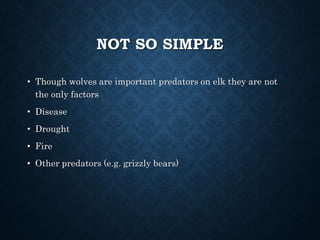 NOT SO SIMPLE
• Though wolves are important predators on elk they are not
the only factors
• Disease
• Drought
• Fire
• Other predators (e.g. grizzly bears)
 