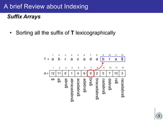 A brief Review about Indexing
• Sorting all the suffix of T lexicographically
Suffix Arrays
a b r a c a d a b r a $
1 2 3 4 5 6 7 8 9 10 11 12
T =
12 11 8 1 4 6 9 2 5 7 10 3
1 2 3 4 5 6 7 8 9 10 11 12
A =
abracadabra$
acadabra$
$
a$
adabra$
bra$
bracadabra$
cadabra$
abra$
dabra$
ra$
racadabra$
 