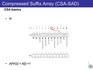 Compressed Suffix Array (CSA-SAD)
CSA basics
• Ψ
• A[Ψ(i)] = A[i] +1
racadabra$
a b r a c a d a b r a $
1 2 3 4 5 6 7 8 9 10 11 12
T =
12 11 8 1 4 6 9 2 5 7 10 3
1 2 3 4 5 6 7 8 9 10 11 12
A =
abracadabra$
acadabra$
$
a$
adabra$
bra$
bracadabra$
cadabra$
abra$
dabra$
ra$
1 2 3 4 5 6 7 8 9 10 11 12
Ψ=
 