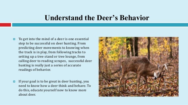 Deer Hunter 4 Deer Hunter 4