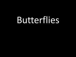 Butterflies
 