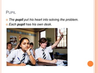 PUPIL
 The pupil put his heart into solving the problem.
 Each pupil has his own desk.
 