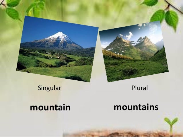 Key vocabulary