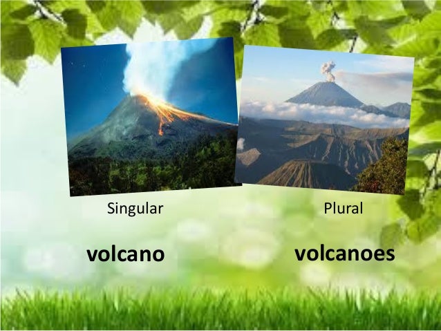 Key vocabulary